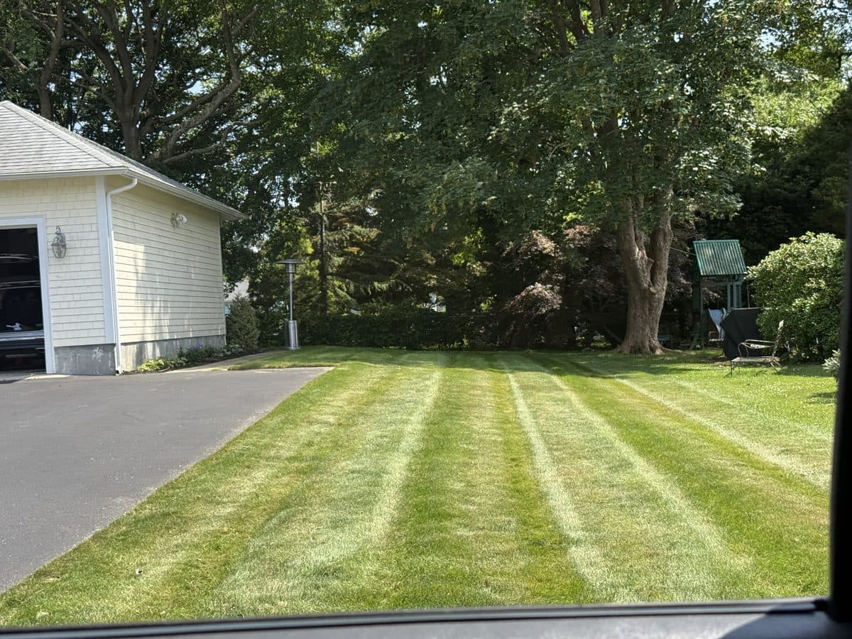 A freshly mowed green lawn with clean mowing stripes
