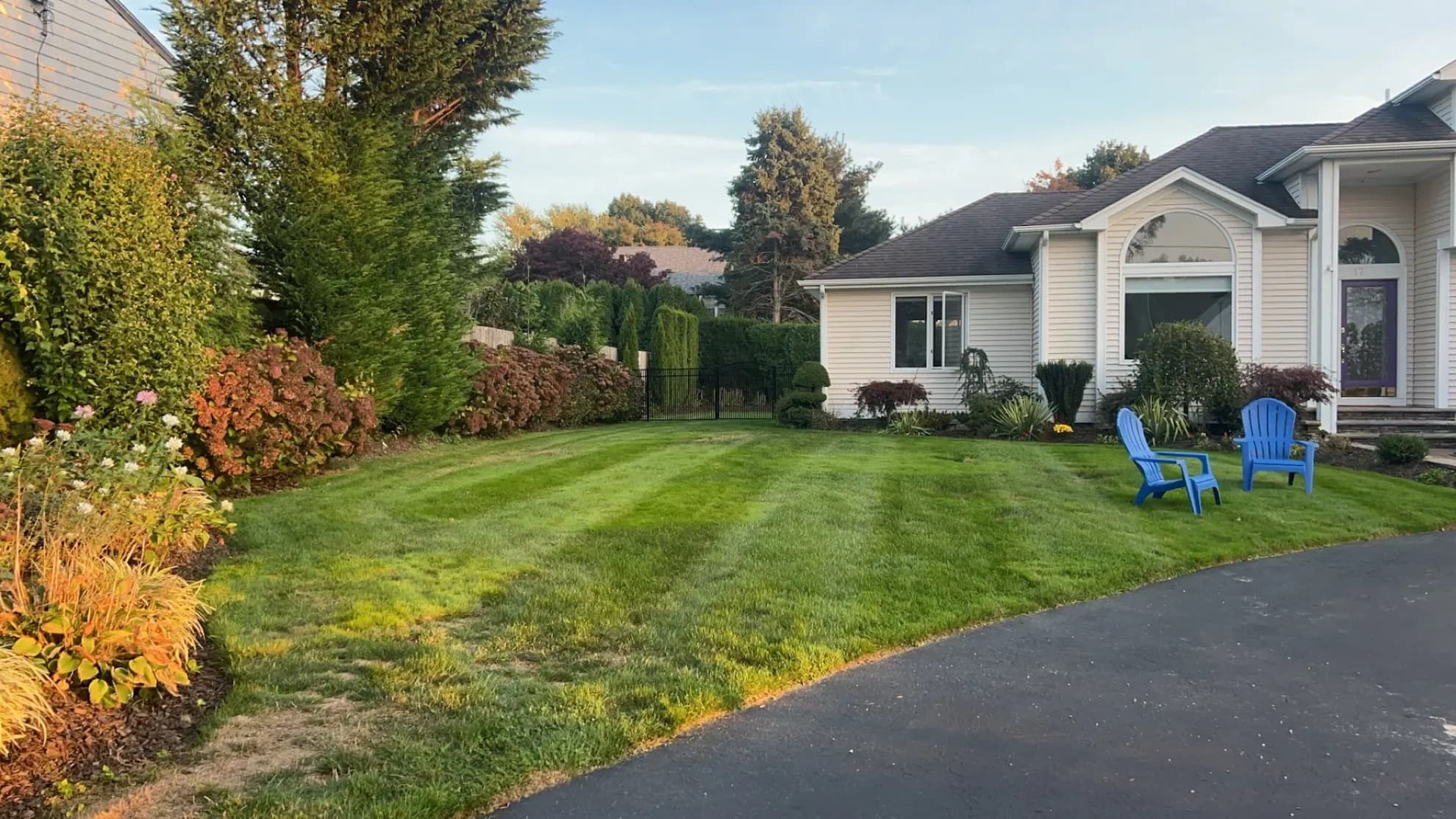 A lush, freshly mowed East Bay lawn maintained on the GreenCare plan