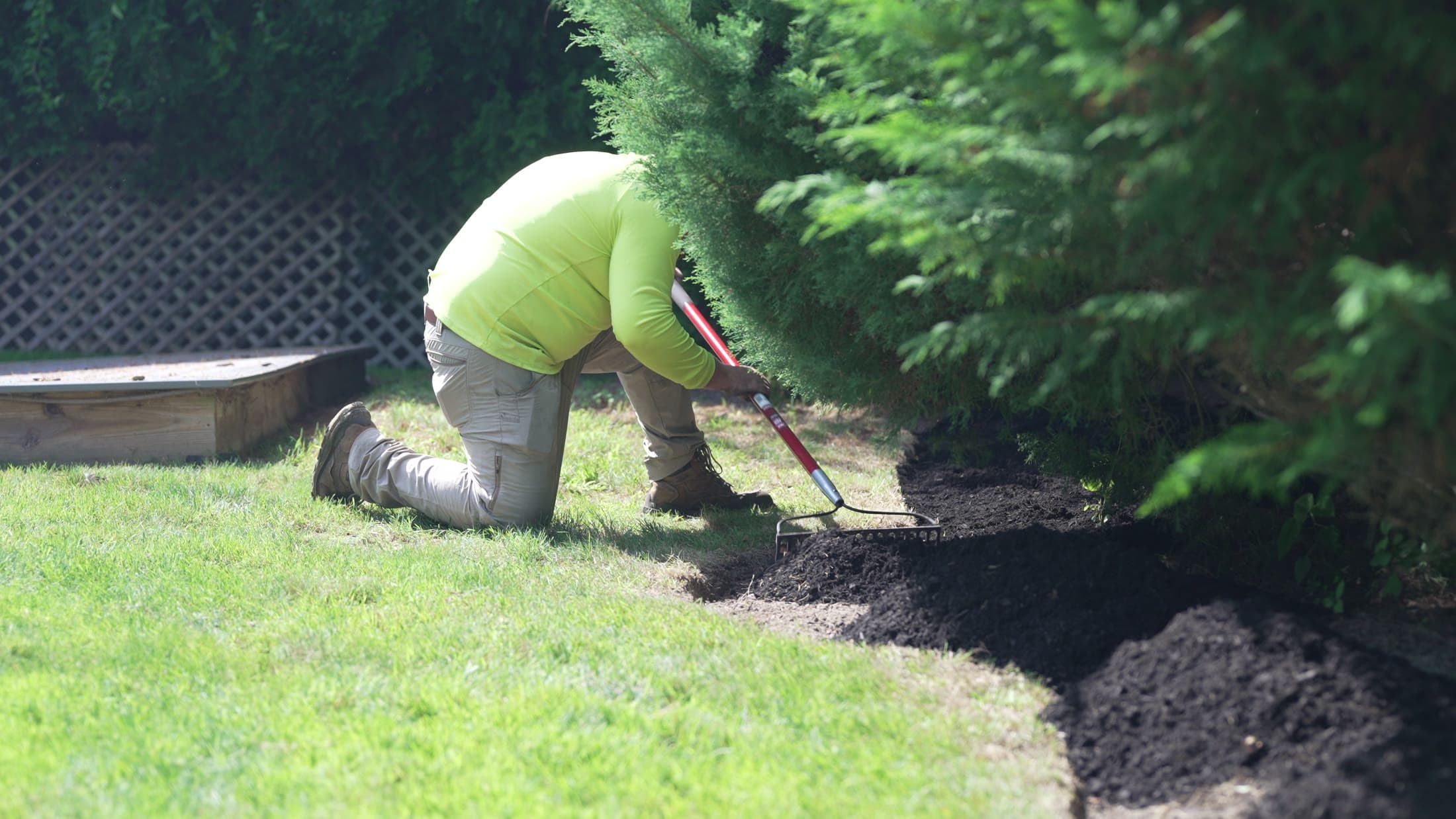A crew member kneeling to work mulch in along a bed under evergreens