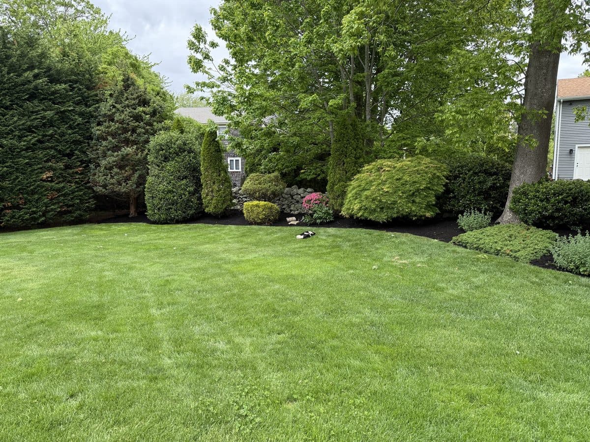 A thick, lush, deep-green maintained lawn