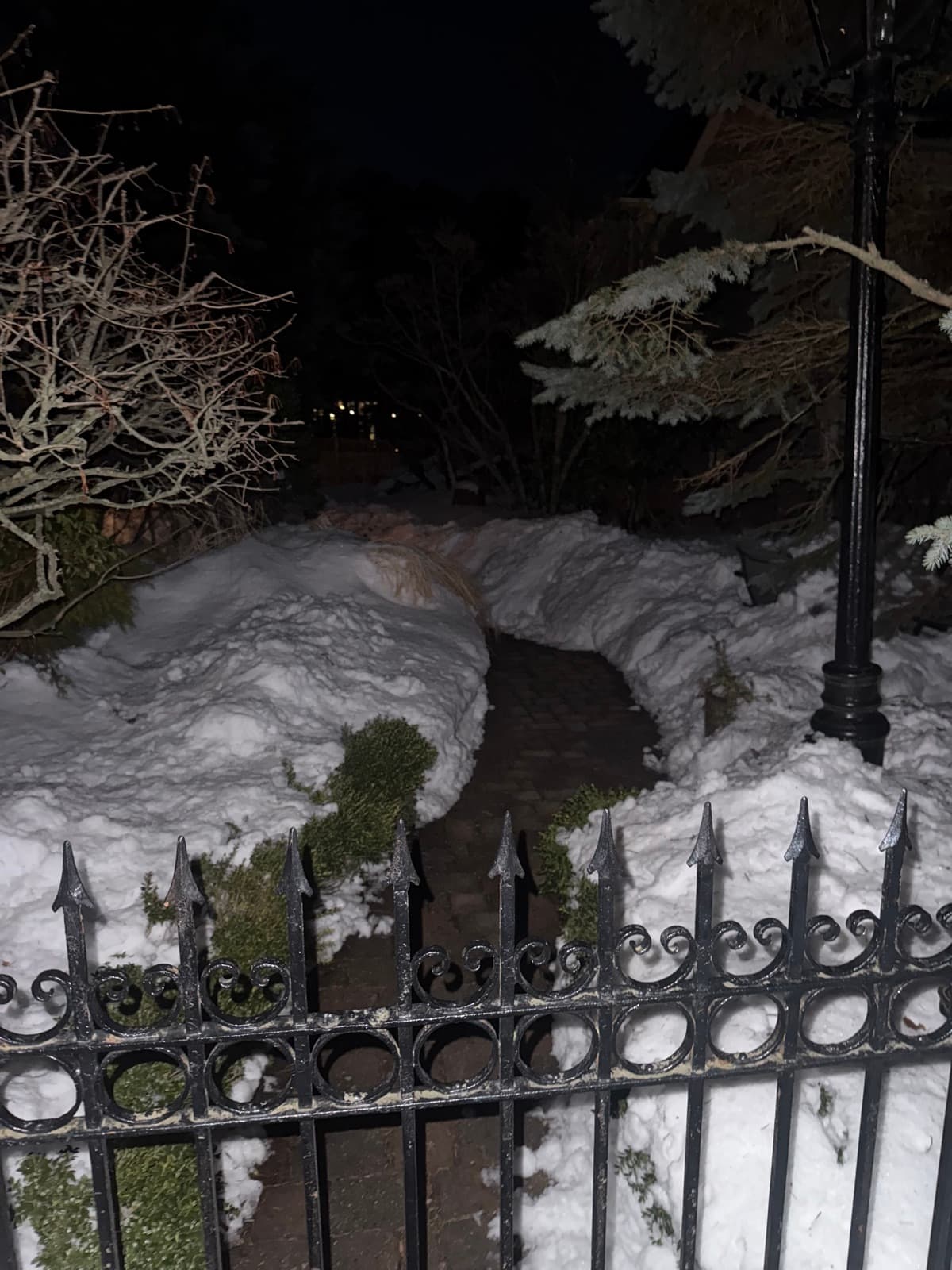 A walkway shoveled clear between deep snowbanks at a commercial property