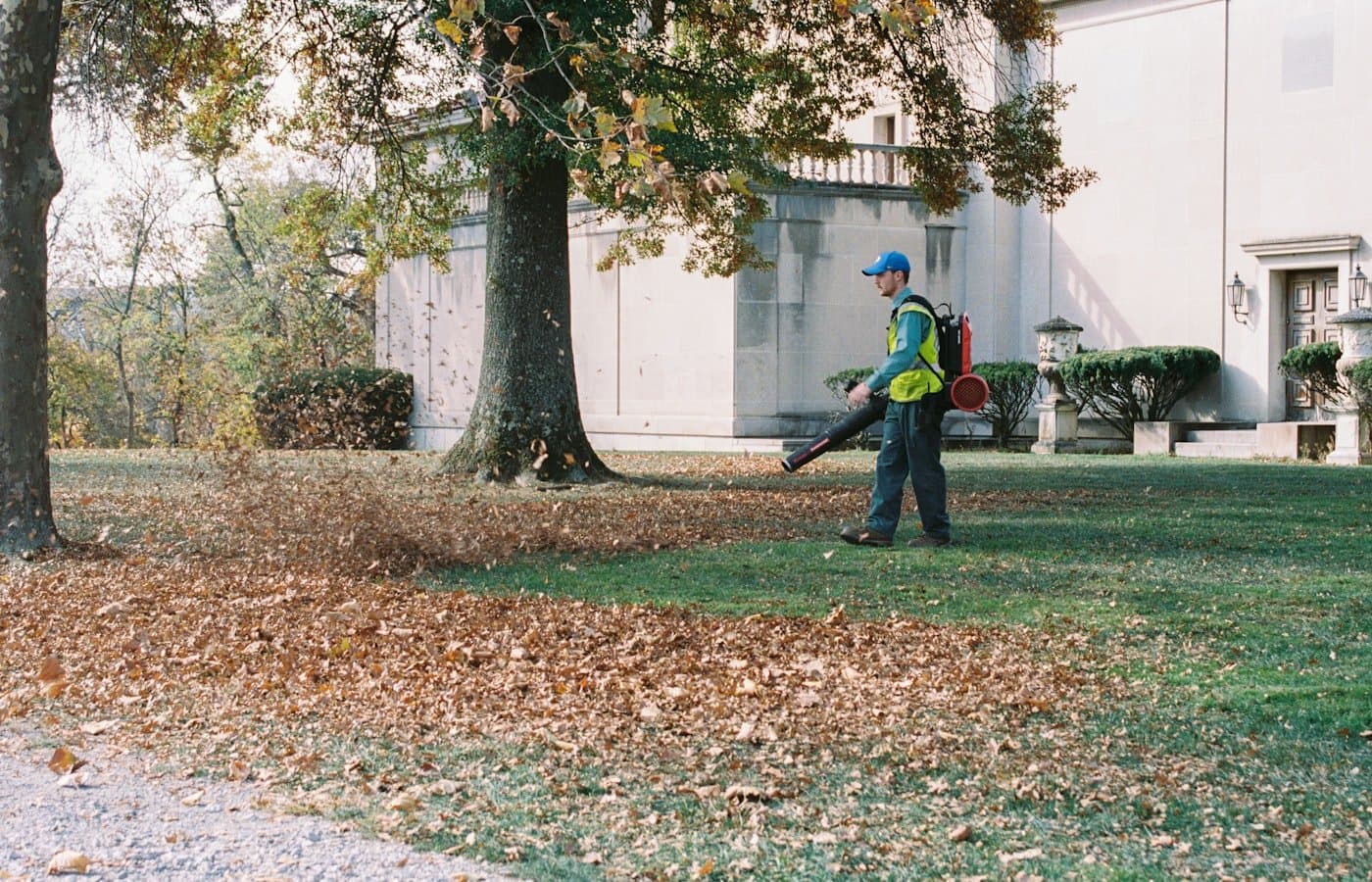 Fallen leaves cleared from a property during a seasonal cleanup