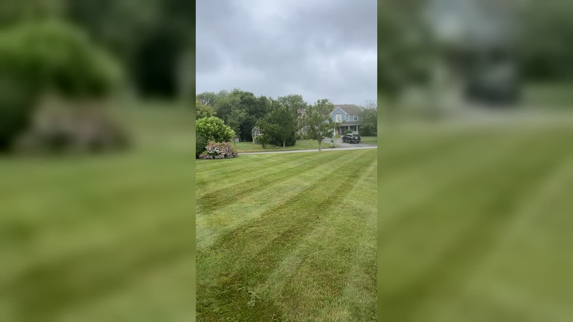 LawnCheck crews mowing crisp stripes, refreshing mulch beds, and manicuring lawns across the East Bay