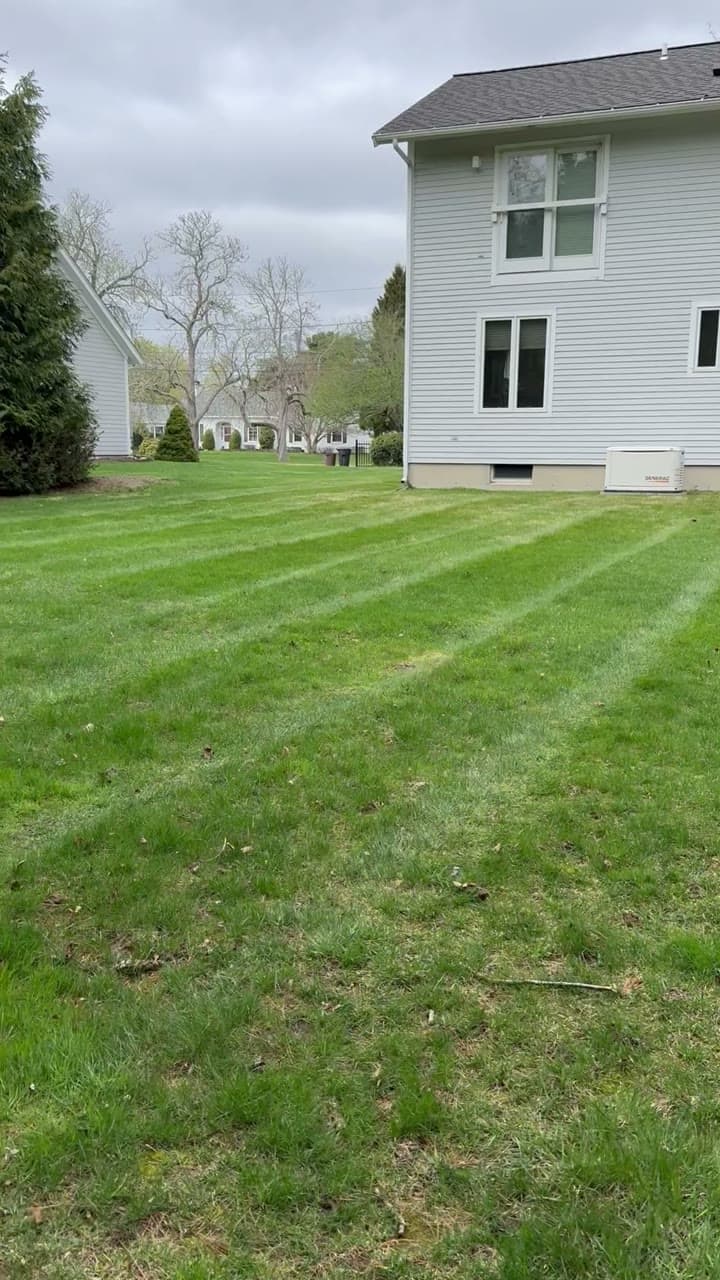 A freshly mowed, healthy green lawn at an East Bay home