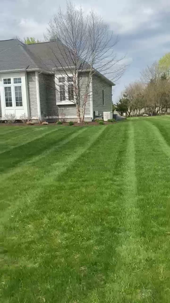 A freshly mown, crisply striped green lawn in front of an East Bay home