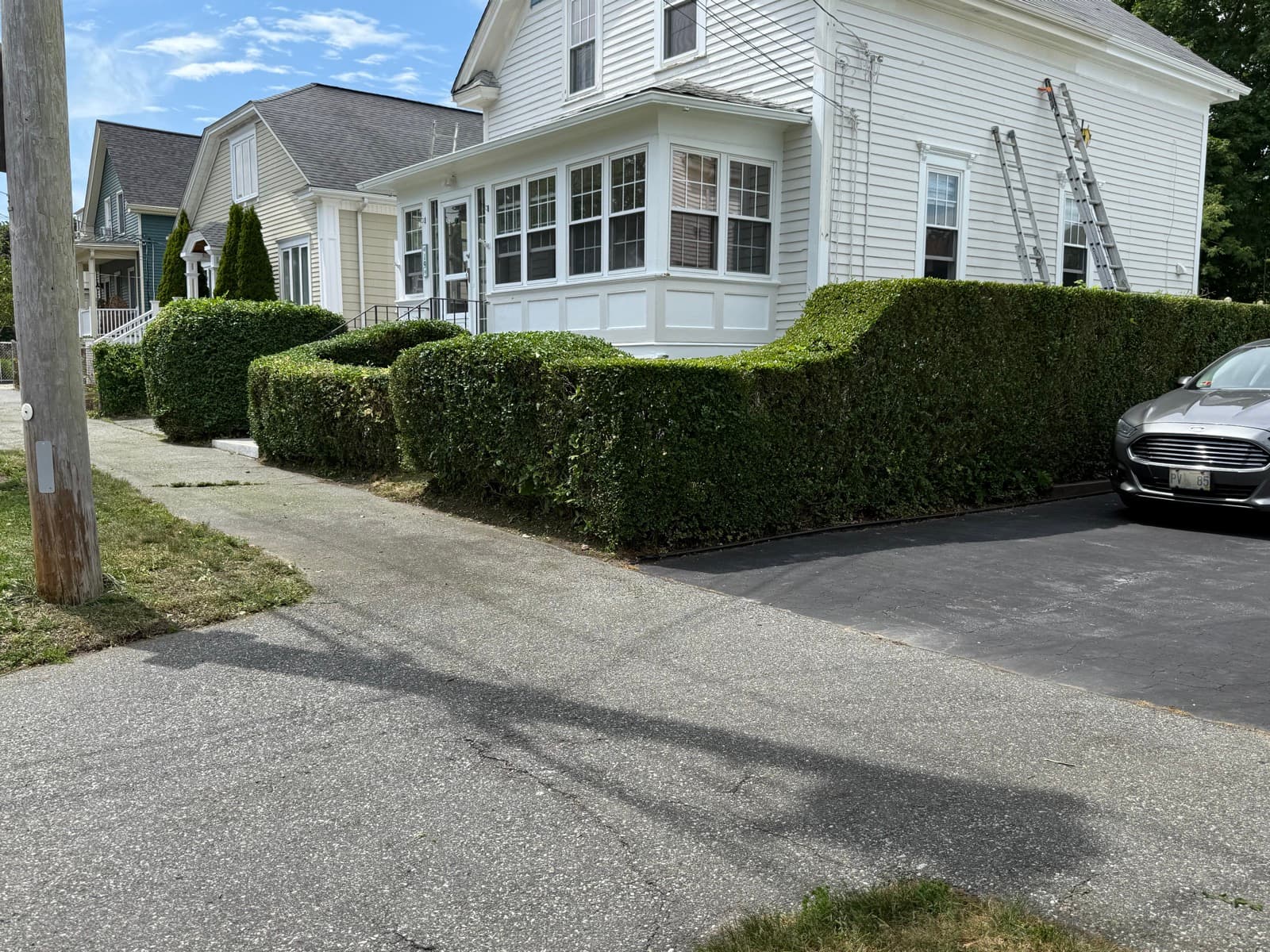 Freshly trimmed hedges — LawnCheck July & August service