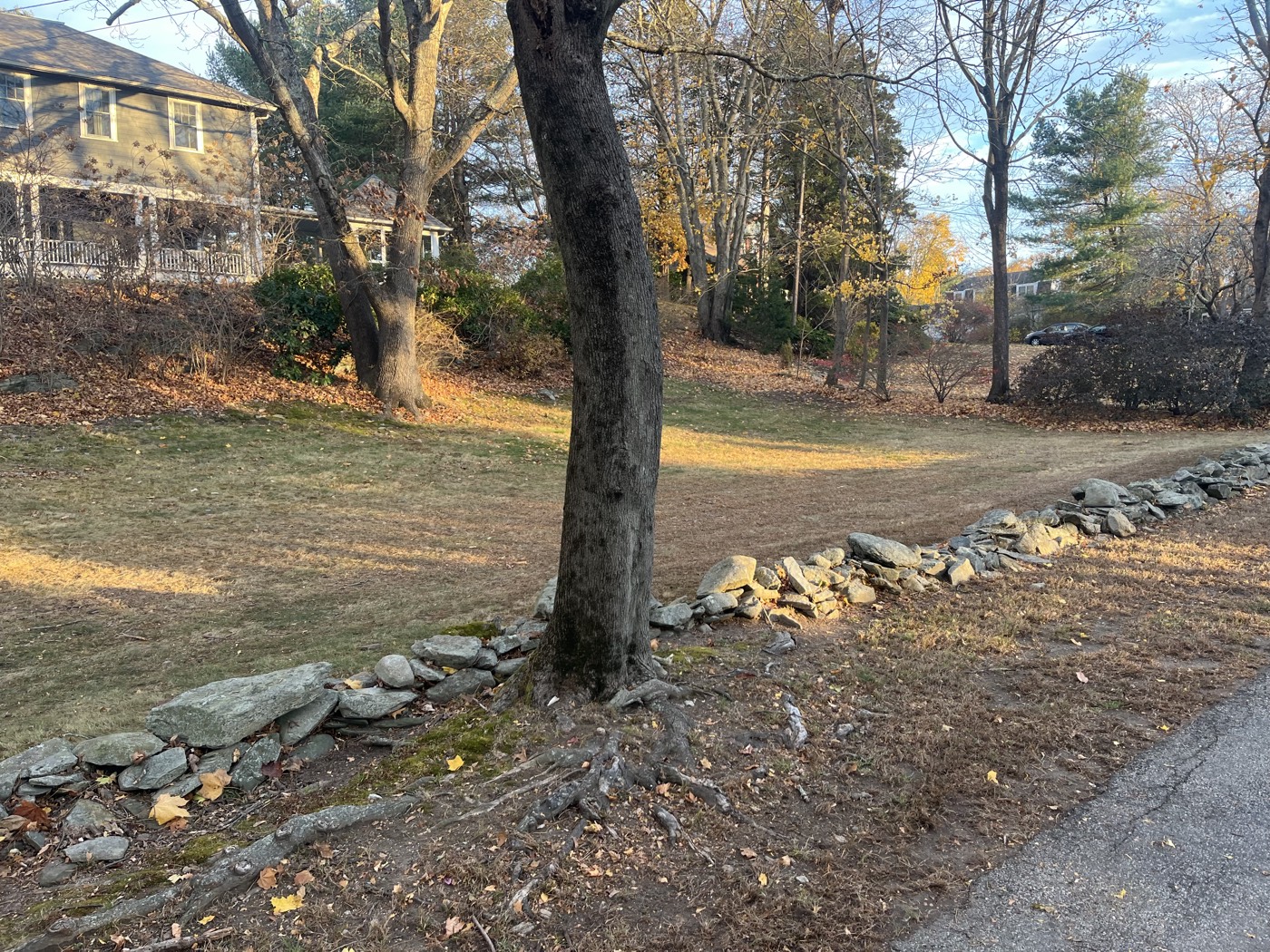 A lawn cleared of leaves beside a stone wall in late afternoon light