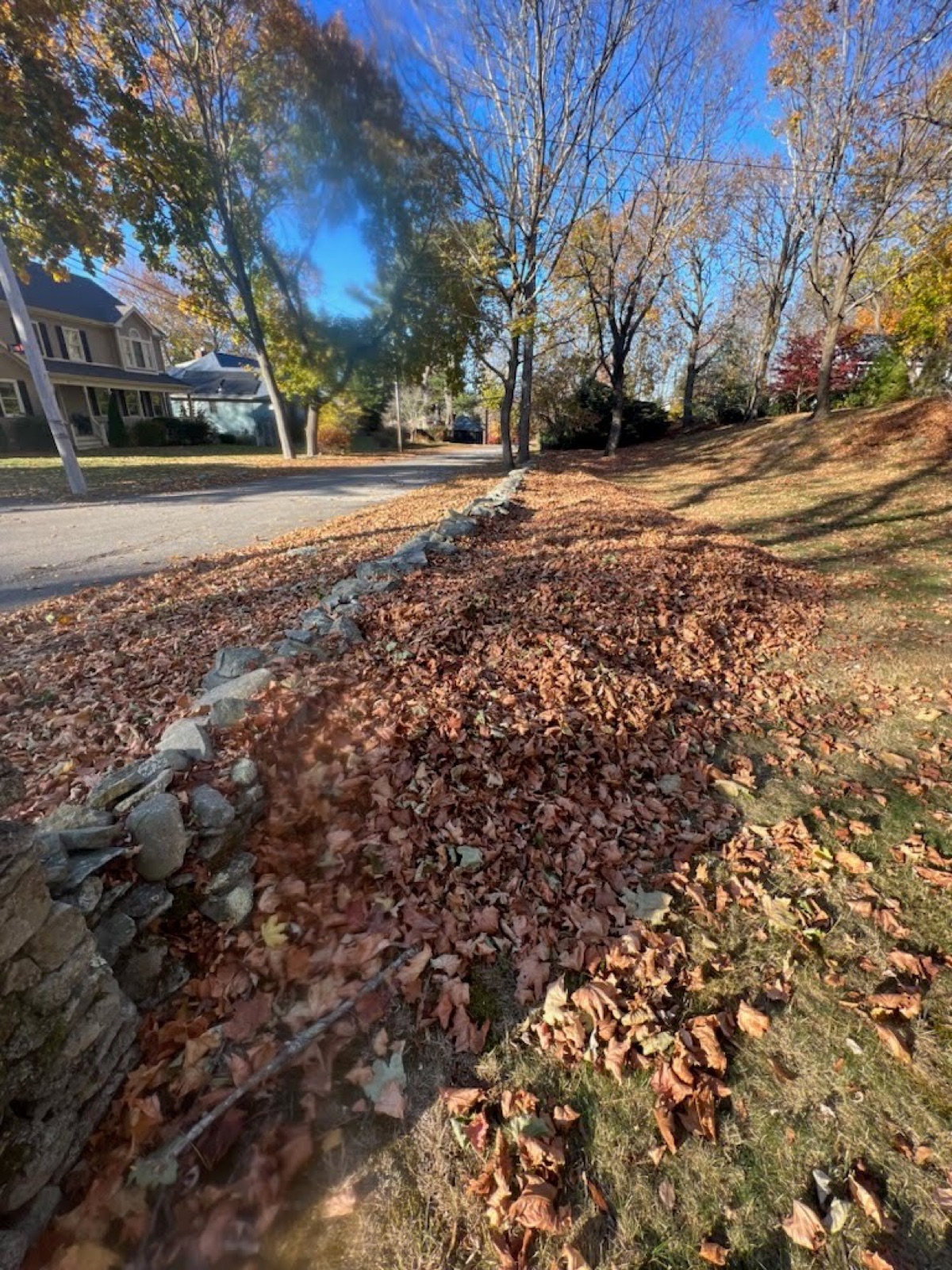 Leaves raked to the curb along a stone wall